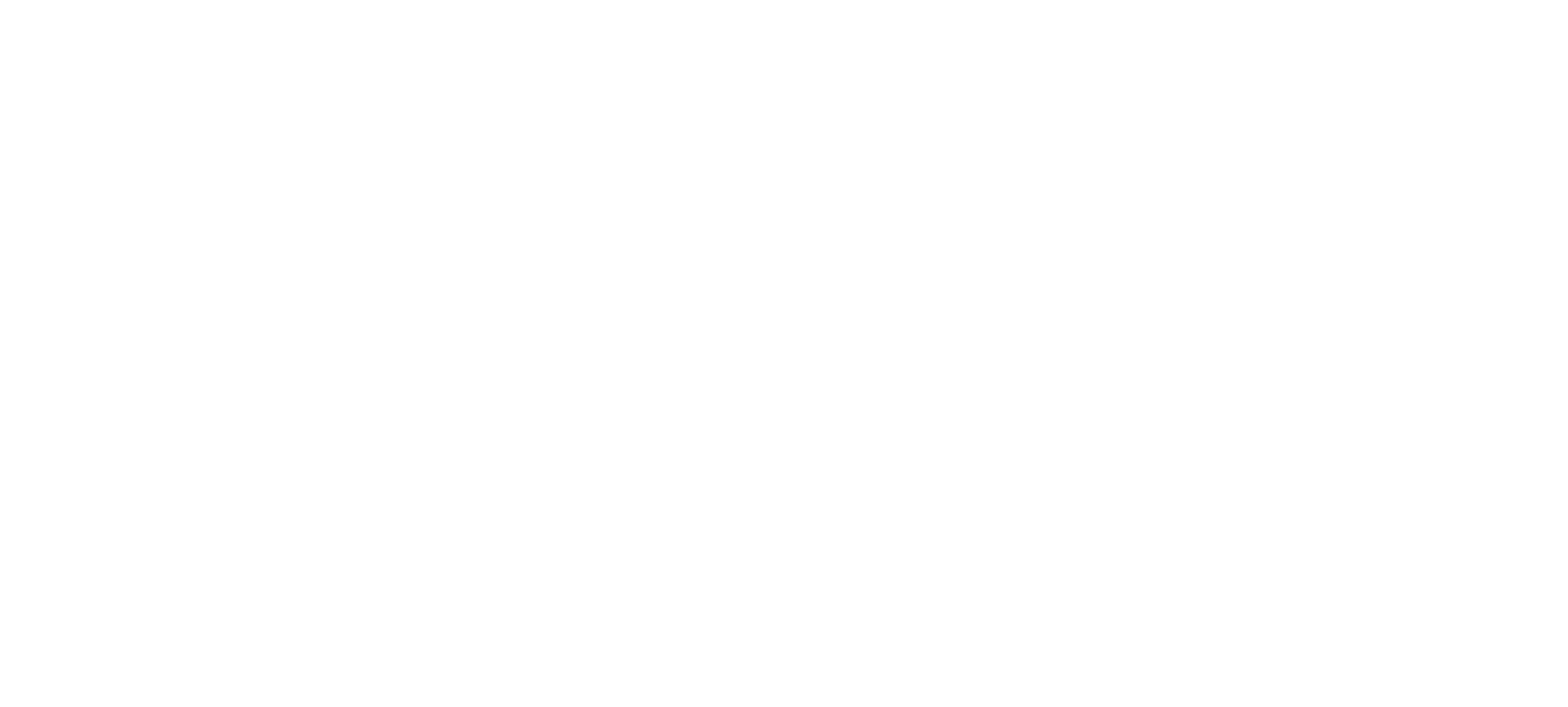 Aisle AI